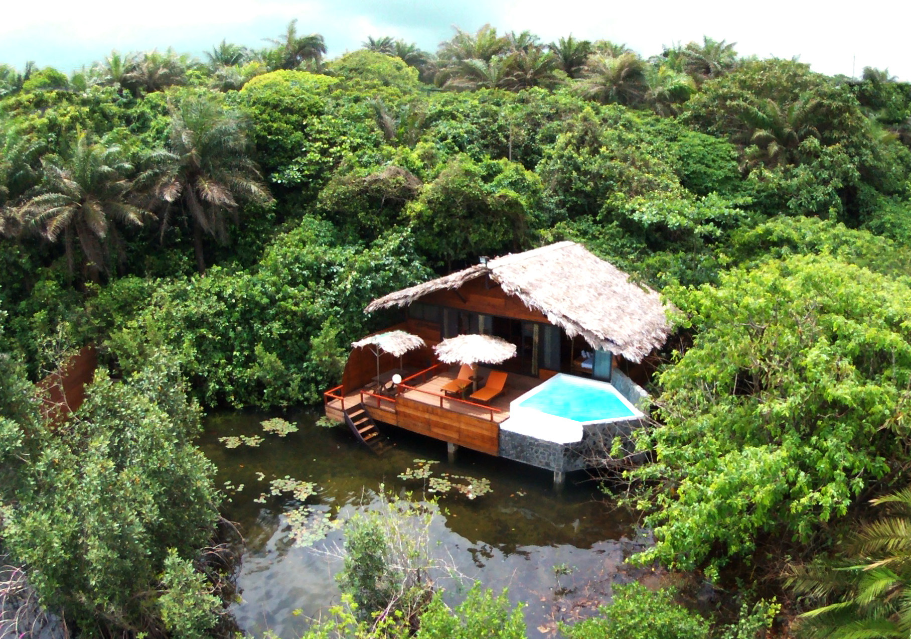 Aerial view of Mangrove Lodge hut with pool and thatched roof